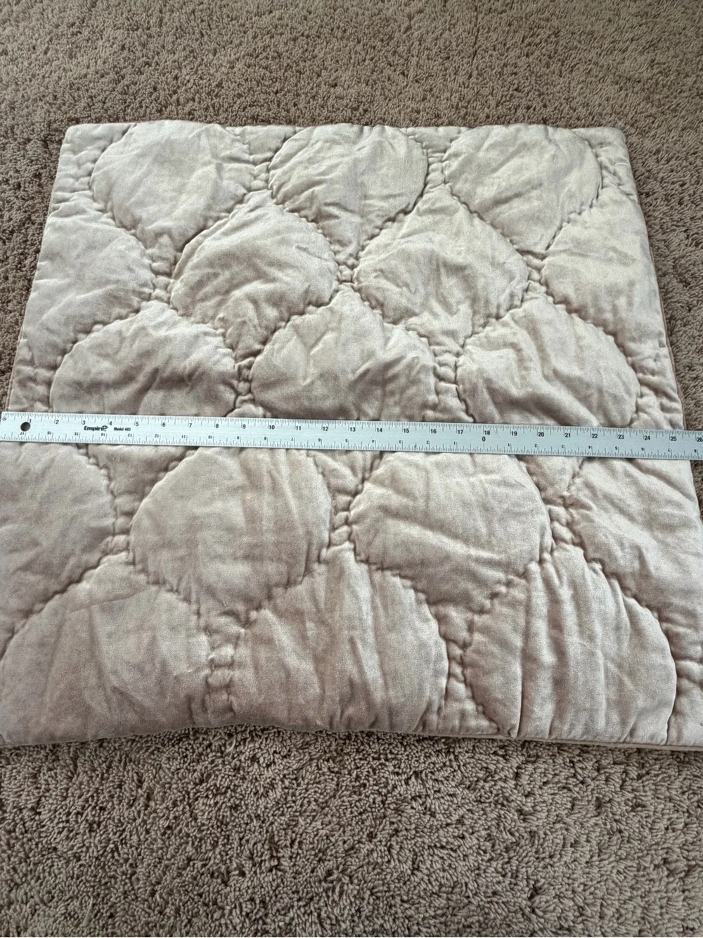 New anthropologie Claire cotton velvet satin euro sham champagne beige 26 x 26